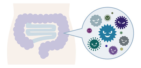 悪玉菌がたくさんいる腸