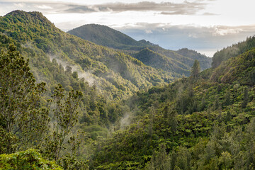 Coromandel, New Zealand  