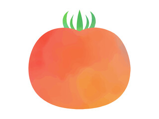 トマトの水彩イラスト