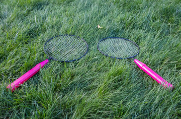 Isolated small badminton tennis rackets laying on grass ground. Rackets on paver patio floor. - 357960420