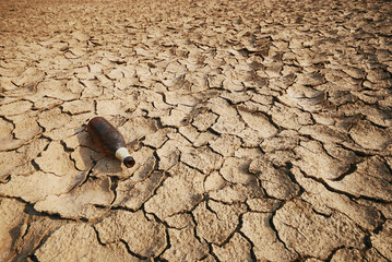 Neglect lone brown bottle on dry cracked land. Dry out rice field in hot monsoon day. El nino effect. Shortage of world food product is very severe in a near future. Global warming concept.
