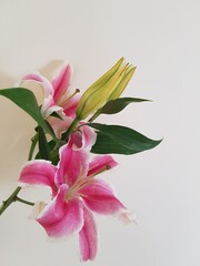 flower arrangement with pink lily flowers and green leaves as a birthday or anniversary gift for a woman