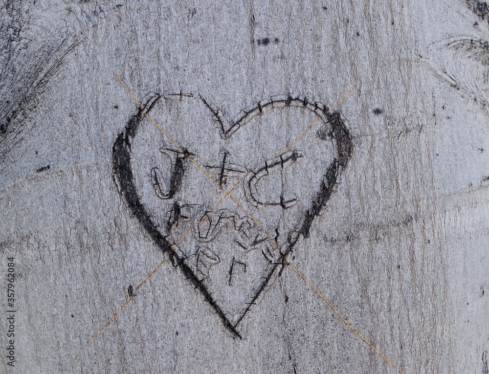 Poster heart shape carved on a tree trunk with initials