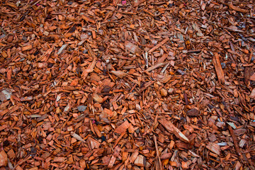 The texture of wood chips painted orange. Decor, landscape design