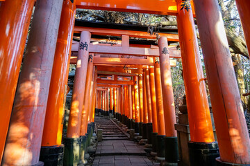 京都　伏見稲荷大社