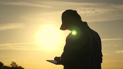 silhouette of an agronomist with tablet studying wheat crop in the field. Farmer works with tablet...