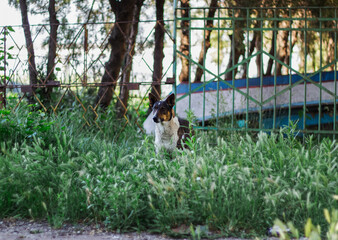 Fototapety na wymiar - Fototapeta24.pl