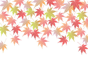 紅葉　もみじ　秋　背景