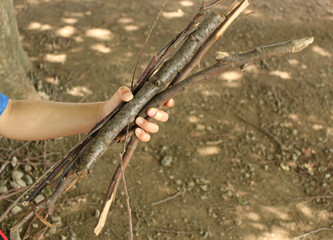 Camp scene: child grabing branches