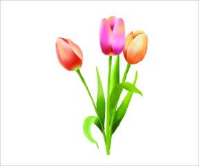 Watercolor beautiful tulips flowers. Bouquet for greeting card. 