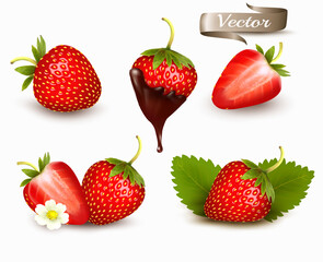 Whole and slice of strawberry, strawberry in a chocolate. Realistic transparent isolated vector set.
