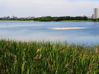The summer scene of Yatsu Higata Narashino City, Chiba Japan 