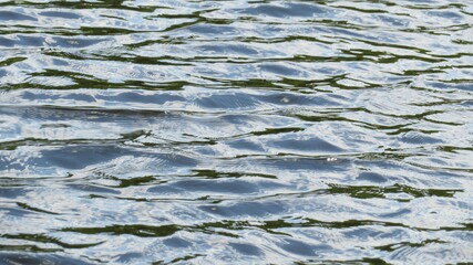 Glossy light blue water background