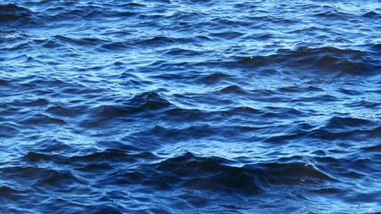 Waves on blue river water background in Florida nature