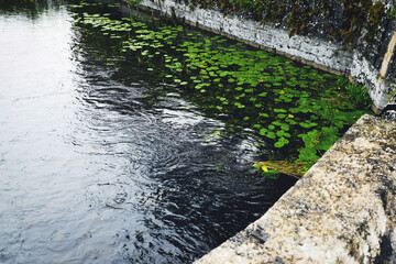 Beautiful small pond, village of Cong Ireland.