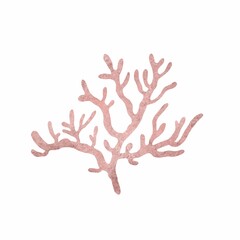 Pink coral isolated on a white background. Decorative illustration of underwater ocean organisms. High quality photo