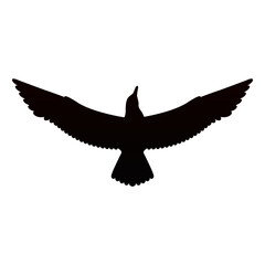 Isolated silhouette of flying seagull on the sky