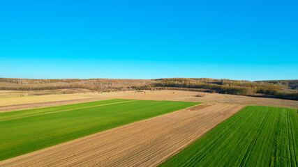 Obraz premium the green field is at sunset shot with the drone