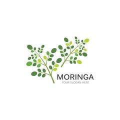 Moringa leaf illustration
