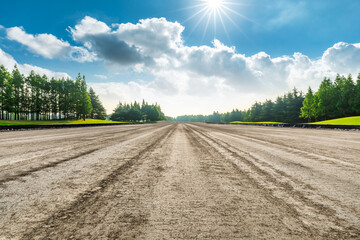 Dirt road ground and green forest in a sunny day.