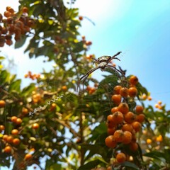 Spiderman homeless © BHARAT