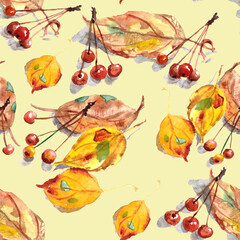 seamless pattern of watercolor drawing set of autumn leaves and small ornamental paradise apples on a yellow background