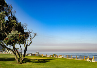 Morning View in La Jolla, CA