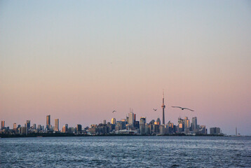 Obraz premium sunset over the city