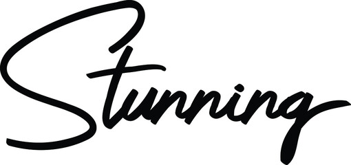 Stunning quote. Modern calligraphy text. Vector hand drawn illustration black and white