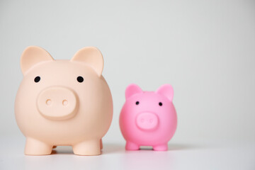 Saving pig for saving money for future investment and for emergency use