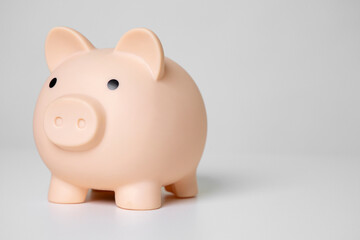 Saving pig for saving money for future investment and for emergency use