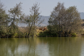 lake on top of the mountain