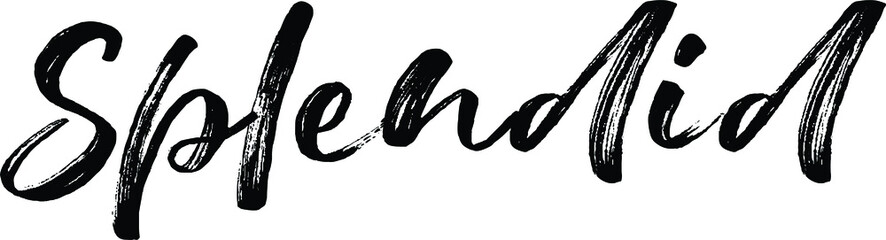 Splendid quote. Modern calligraphy text. Vector hand-drawn illustration black and white