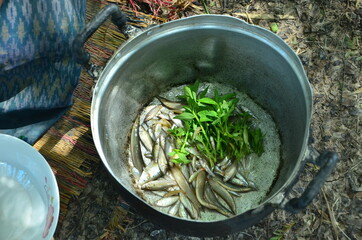 North-eastern Thailand traditional cook