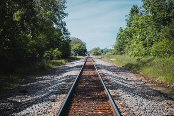 Fototapeta premium Railroad Track in the Forest