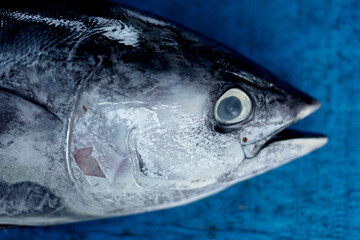 Closeup head of tuna fish for sale at fish market