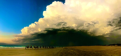 Broome camel safaris on cable beach under a wet season storm