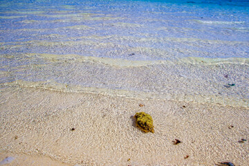 Rarotonga stunning beautiful beaches, white sand, clear turquoise water, blue lagoons, Cook islands, Pacific islands