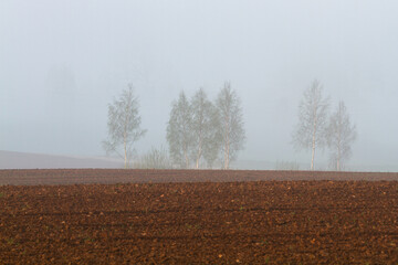 misty landscapes