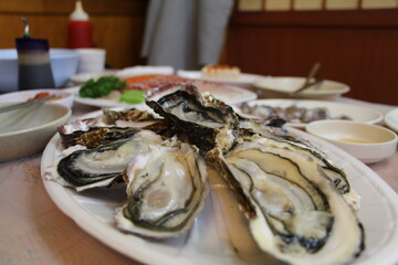 fresh oysters on ice