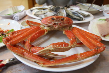 Huge king crab 