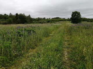 field road village nature park