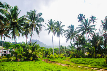 Fototapeta na wymiar Rarotonga beautiful green tropical mountains, rainforests, scenery, landscapes, Cook islands, Pacific islands