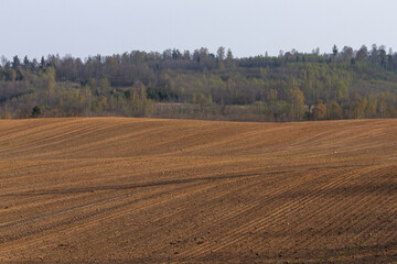  Cultivated land in early spring