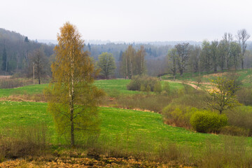 Cultivated land in early spring