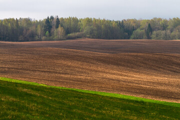 Cultivated land in early spring