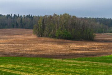 Cultivated land in early spring