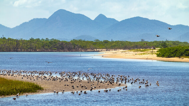 Reserva do Mangue de Itapo&aacute;