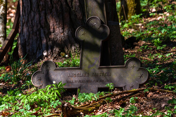 Old cemetery with crosses