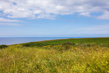 the pointe du Raz